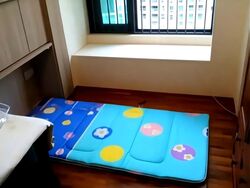 Blk 1A The Pinnacle@Duxton (Bukit Merah), HDB 4 Rooms #591943771